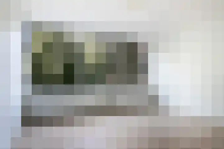 De Zalmen 28 Doorwerth thumbnail 7