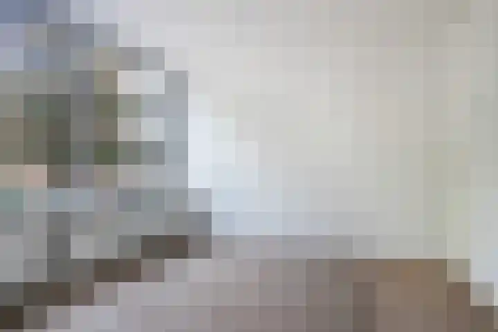 De Zalmen 28 Doorwerth thumbnail 8