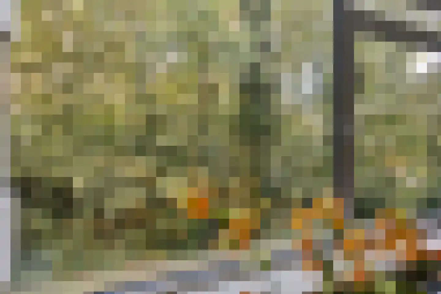 De Zalmen 3 Doorwerth thumbnail 14