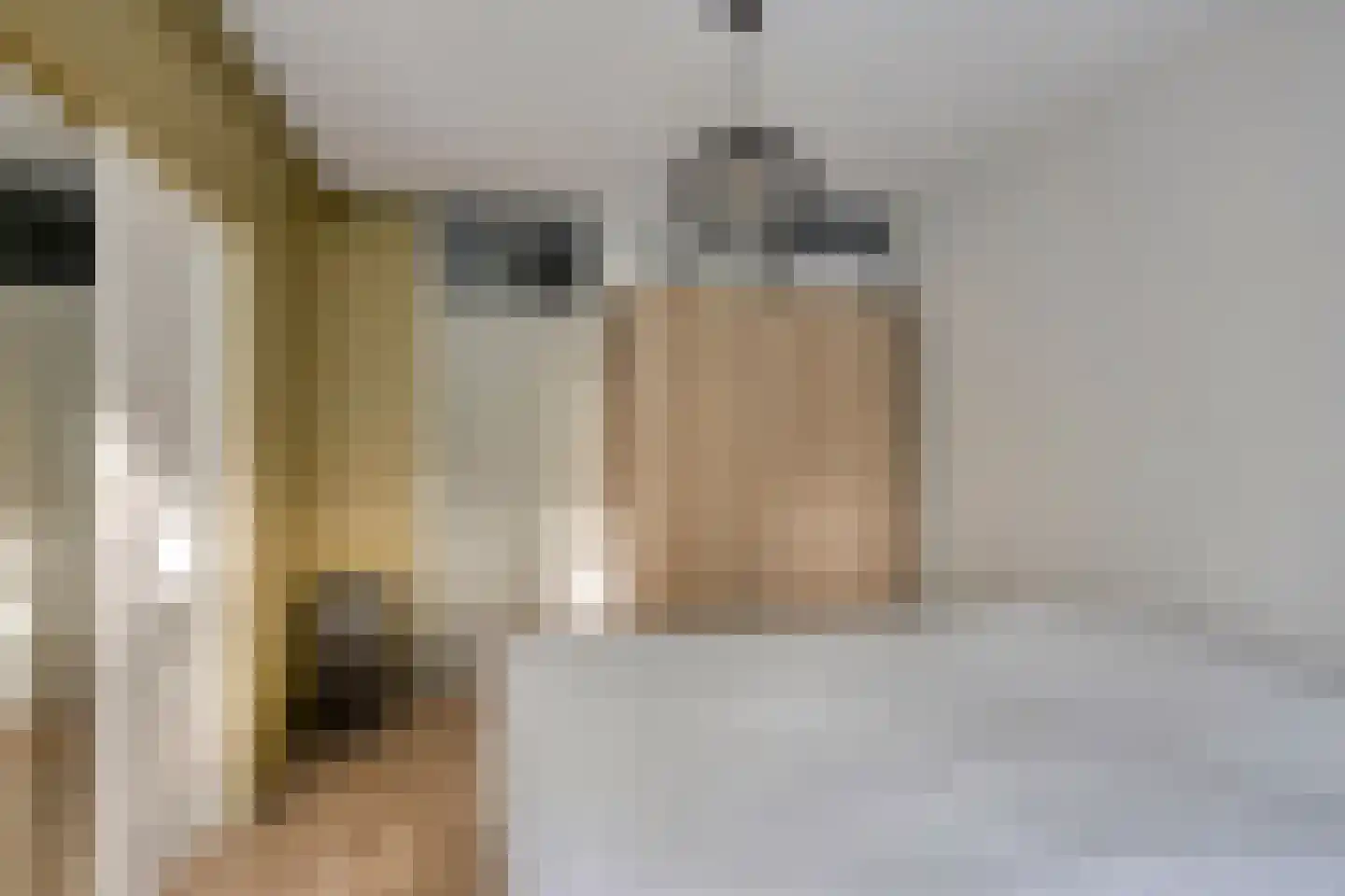 De Zalmen 3 Doorwerth thumbnail 19