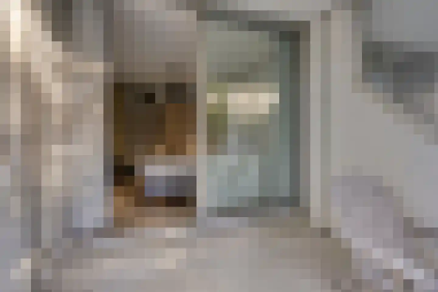 De Zalmen 3 Doorwerth thumbnail 21