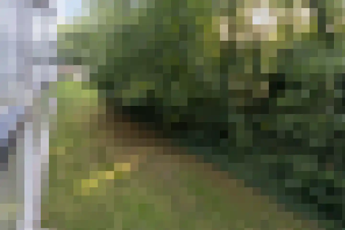 De Zalmen 3 Doorwerth thumbnail 22