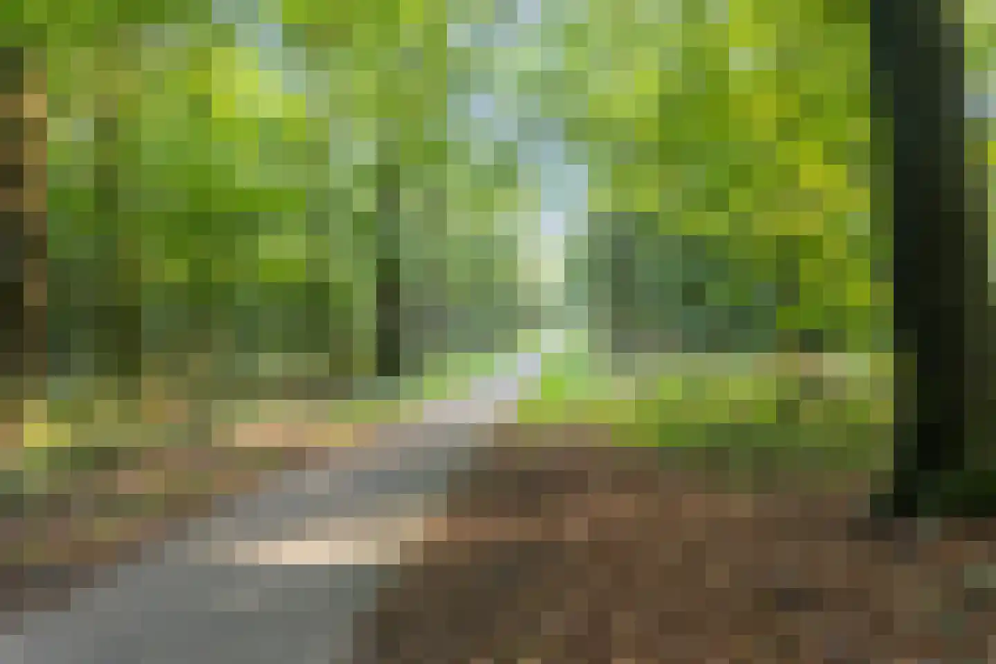 De Zalmen 3 Doorwerth thumbnail 24