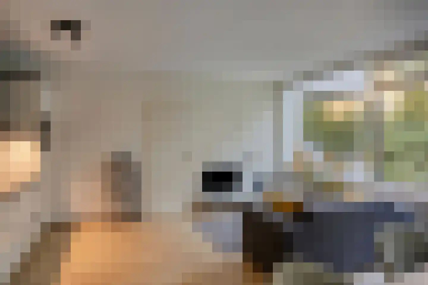 De Zalmen 3 Doorwerth thumbnail 4