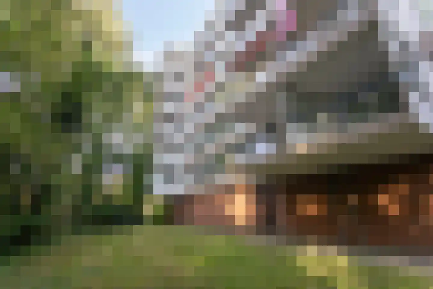 De Zalmen 3 Doorwerth thumbnail 8