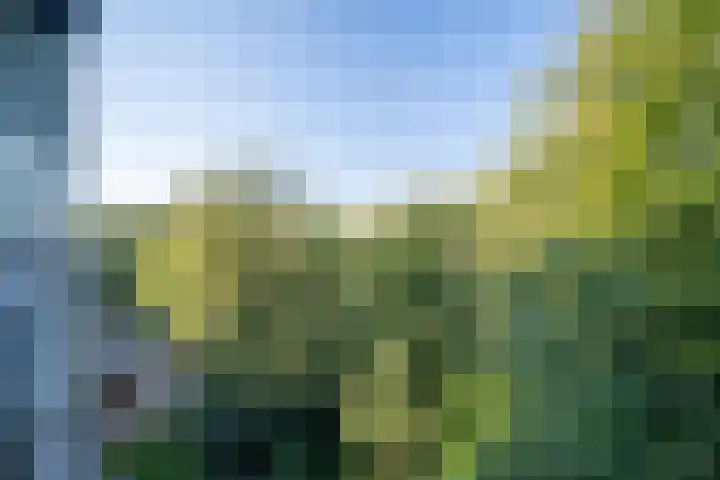 De Zalmen 45 Doorwerth thumbnail 12