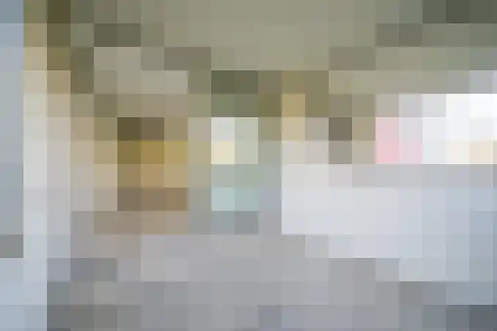 De Zalmen 45 Doorwerth thumbnail 13