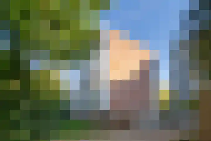 De Zalmen 45 Doorwerth thumbnail 17