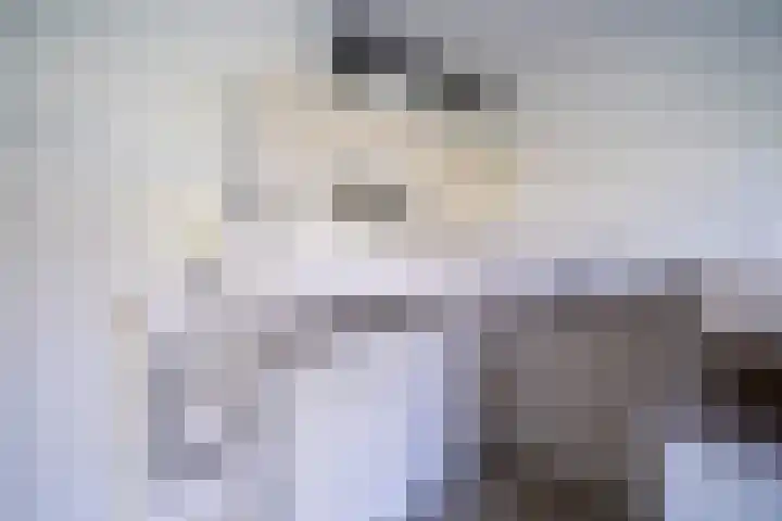 De Zalmen 45 Doorwerth thumbnail 4