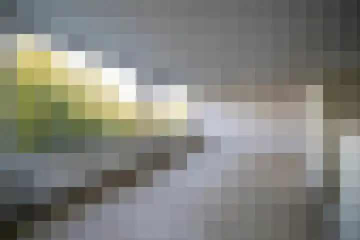 De Zalmen 45 Doorwerth thumbnail 8