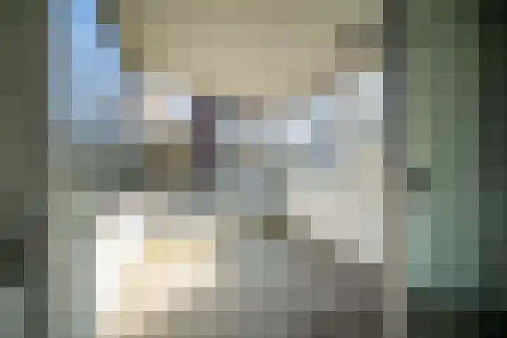 De Zalmen 56 Doorwerth thumbnail 18