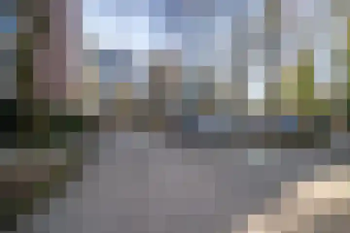 De Zalmen 56 Doorwerth thumbnail 23