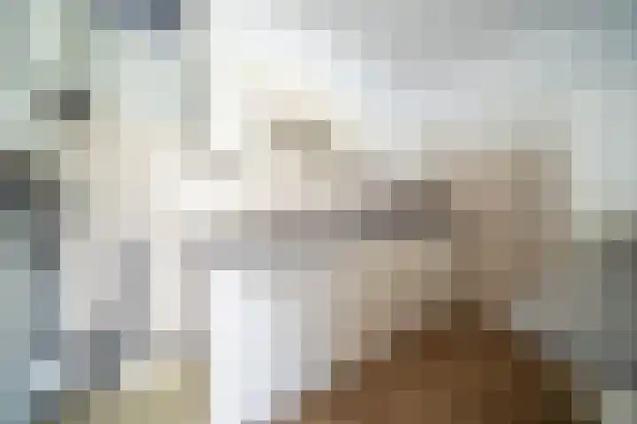 De Zalmen 56 Doorwerth thumbnail 9