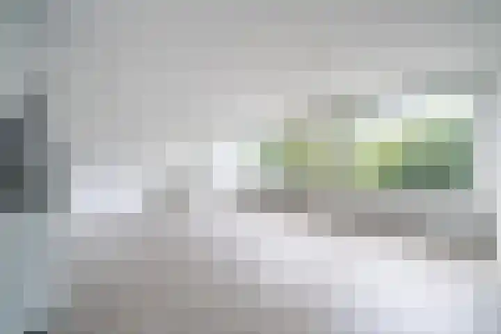 De Zalmen 63 Doorwerth thumbnail 11