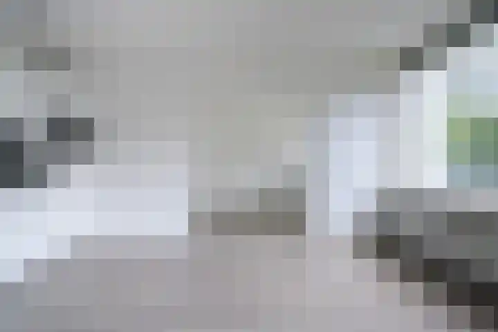De Zalmen 63 Doorwerth thumbnail 12