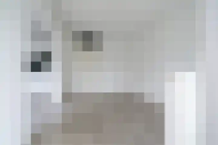 De Zalmen 63 Doorwerth thumbnail 14