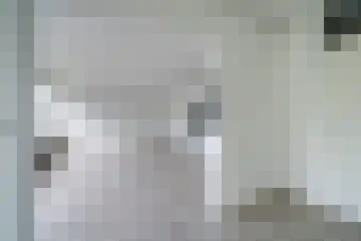 De Zalmen 63 Doorwerth thumbnail 15