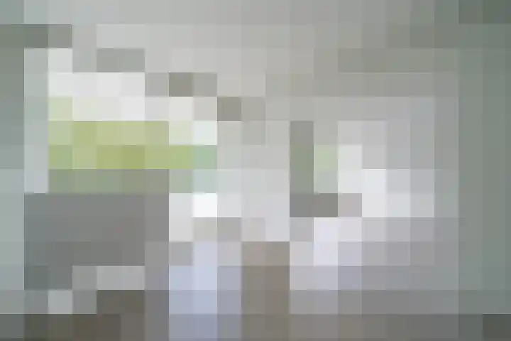 De Zalmen 63 Doorwerth thumbnail 16