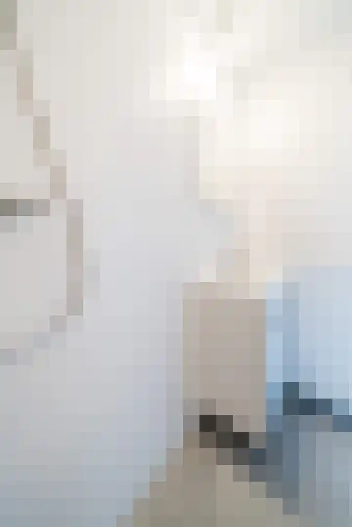 De Zalmen 63 Doorwerth thumbnail 18
