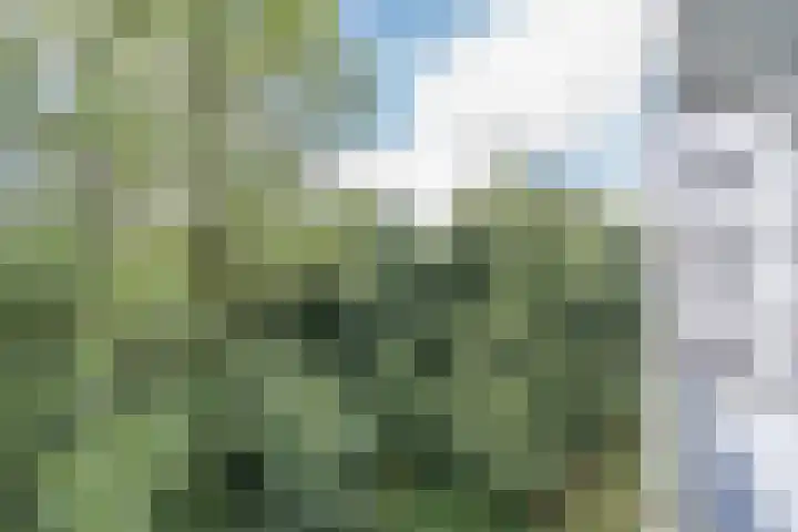 De Zalmen 63 Doorwerth thumbnail 20