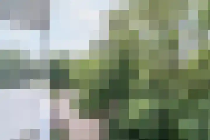 De Zalmen 63 Doorwerth thumbnail 21