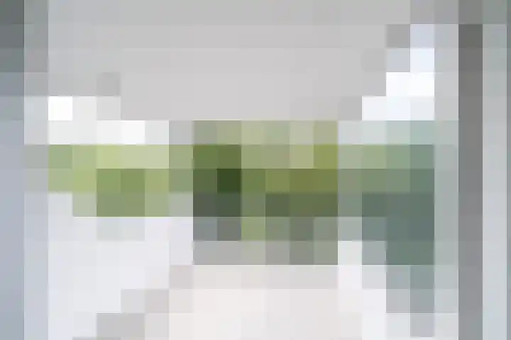 De Zalmen 63 Doorwerth thumbnail 4