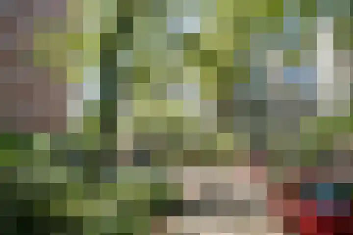 De Zalmen 63 Doorwerth thumbnail 5