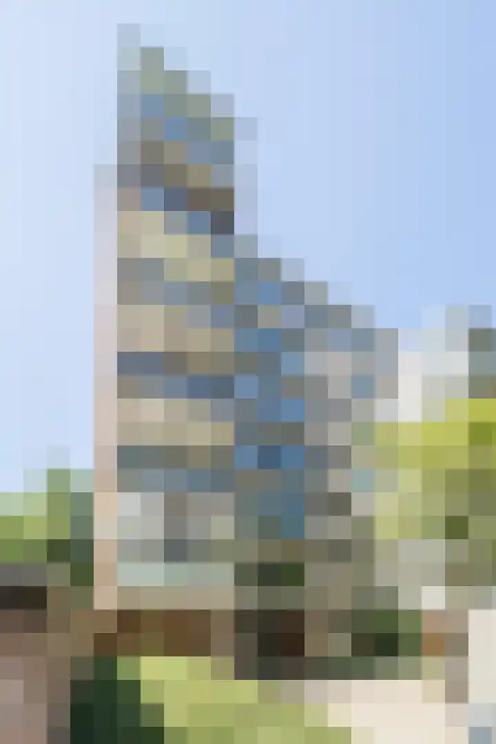 De Zalmen 63 Doorwerth thumbnail 6