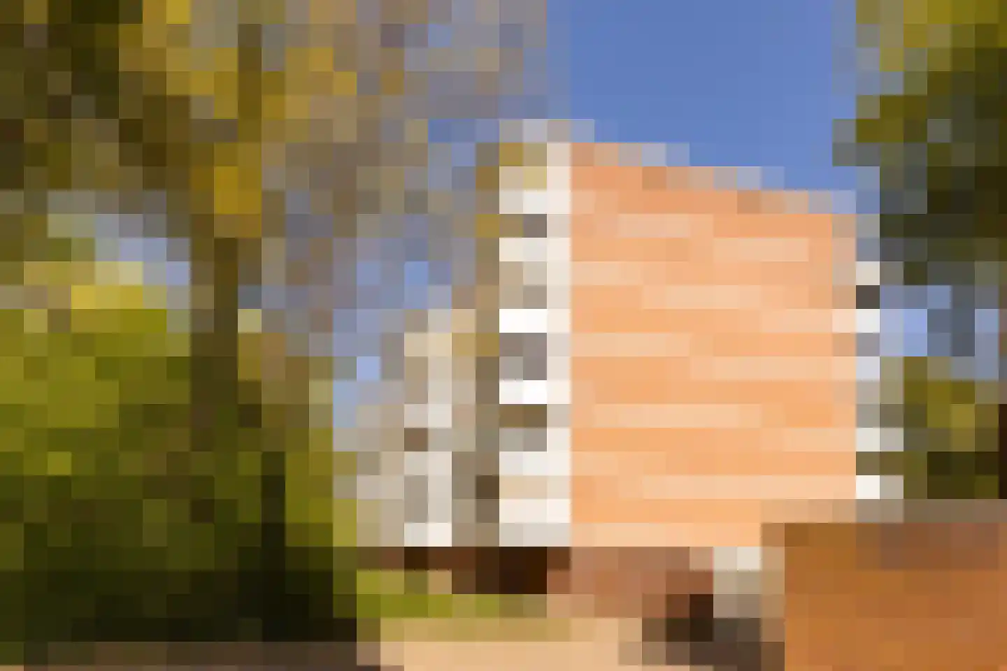 De Zalmen 71 Doorwerth