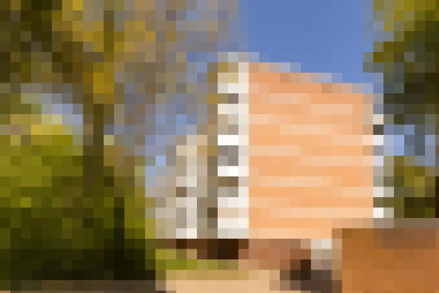 De Zalmen 71 Doorwerth