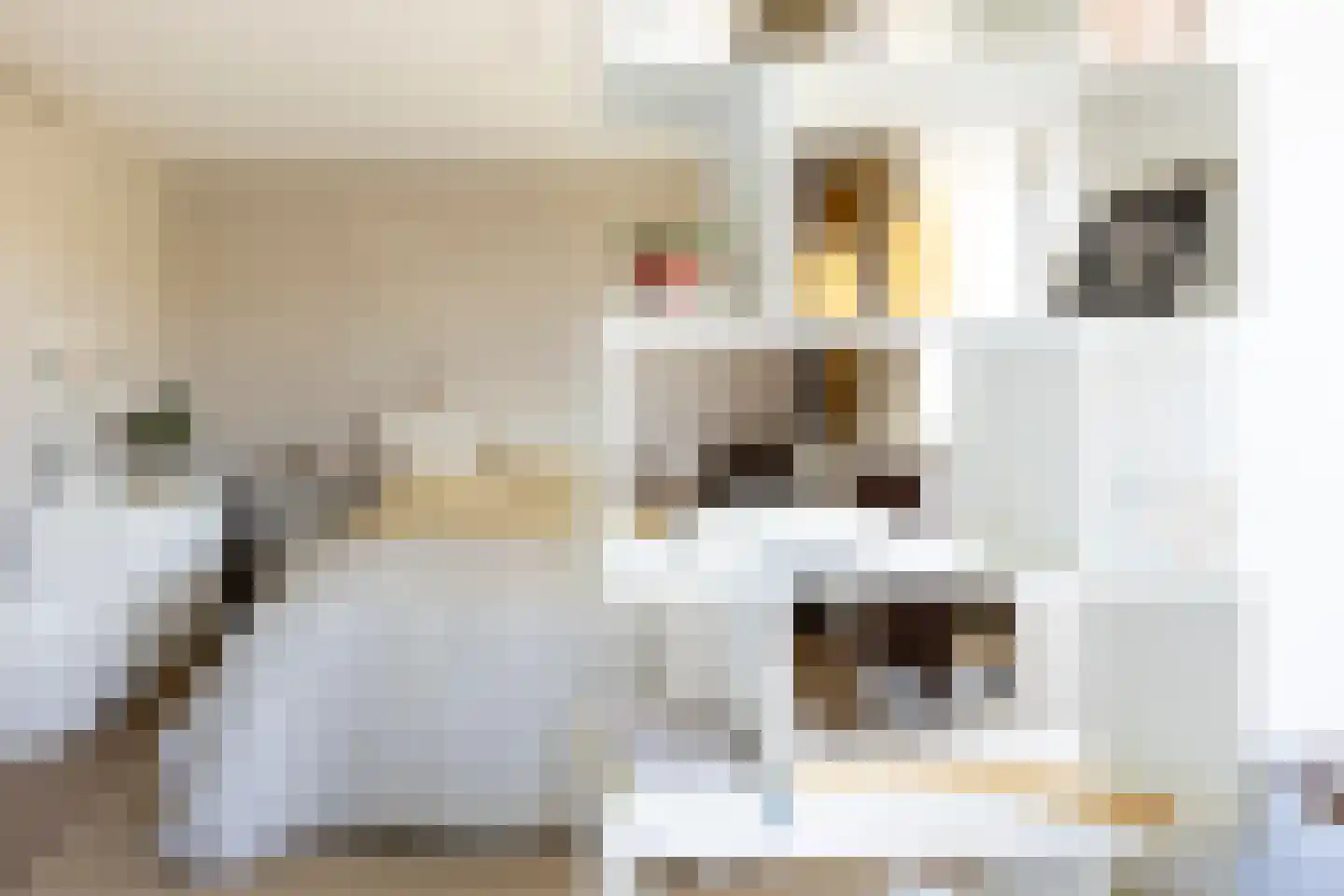 De Zalmen 71 Doorwerth thumbnail 13