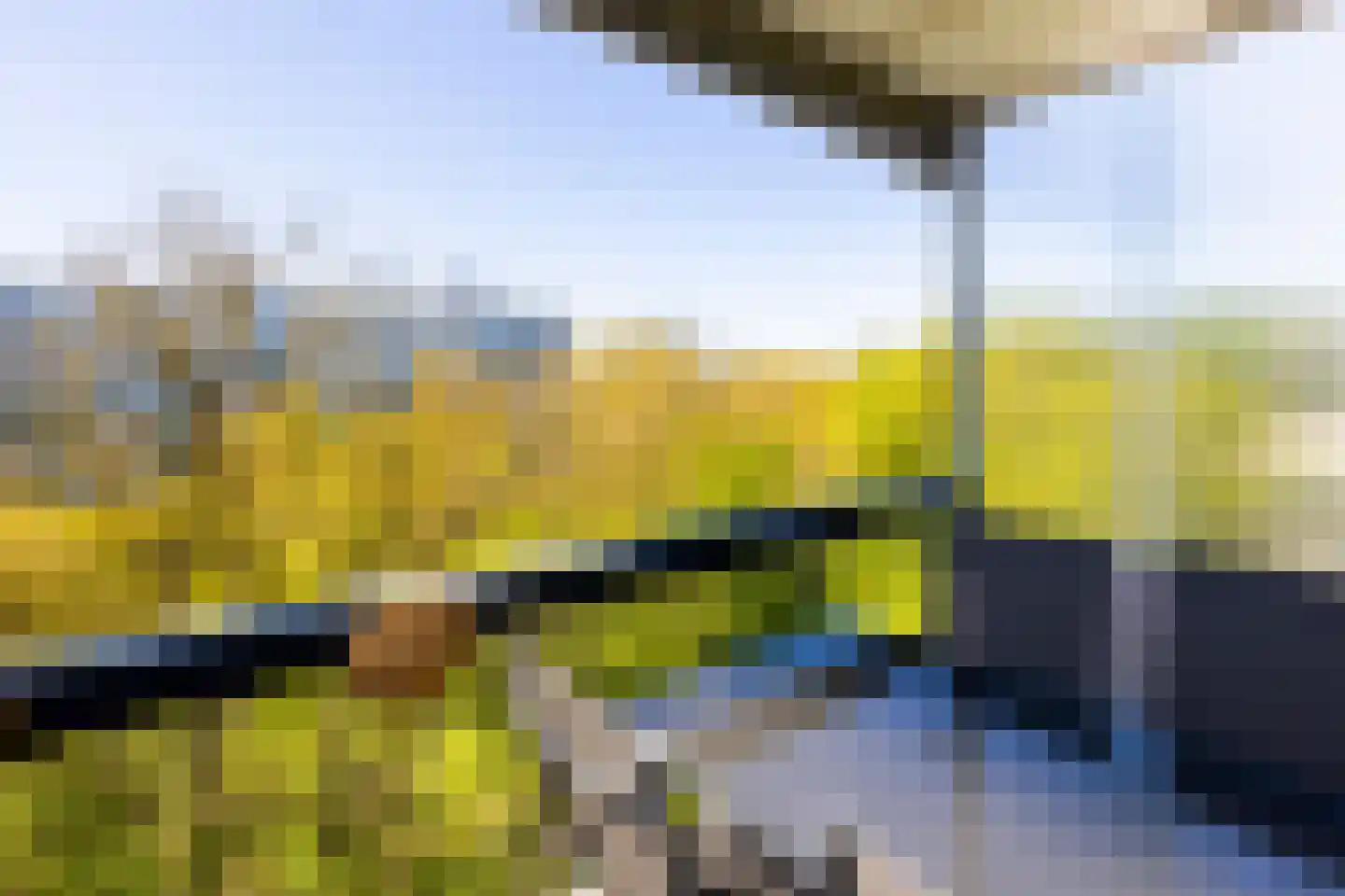 De Zalmen 71 Doorwerth thumbnail 19