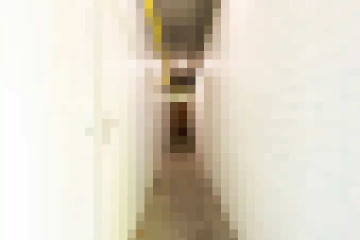De Zalmen 71 Doorwerth thumbnail 23