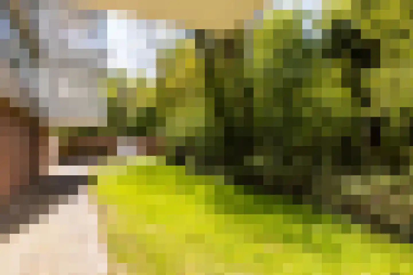 De Zalmen 71 Doorwerth thumbnail 24