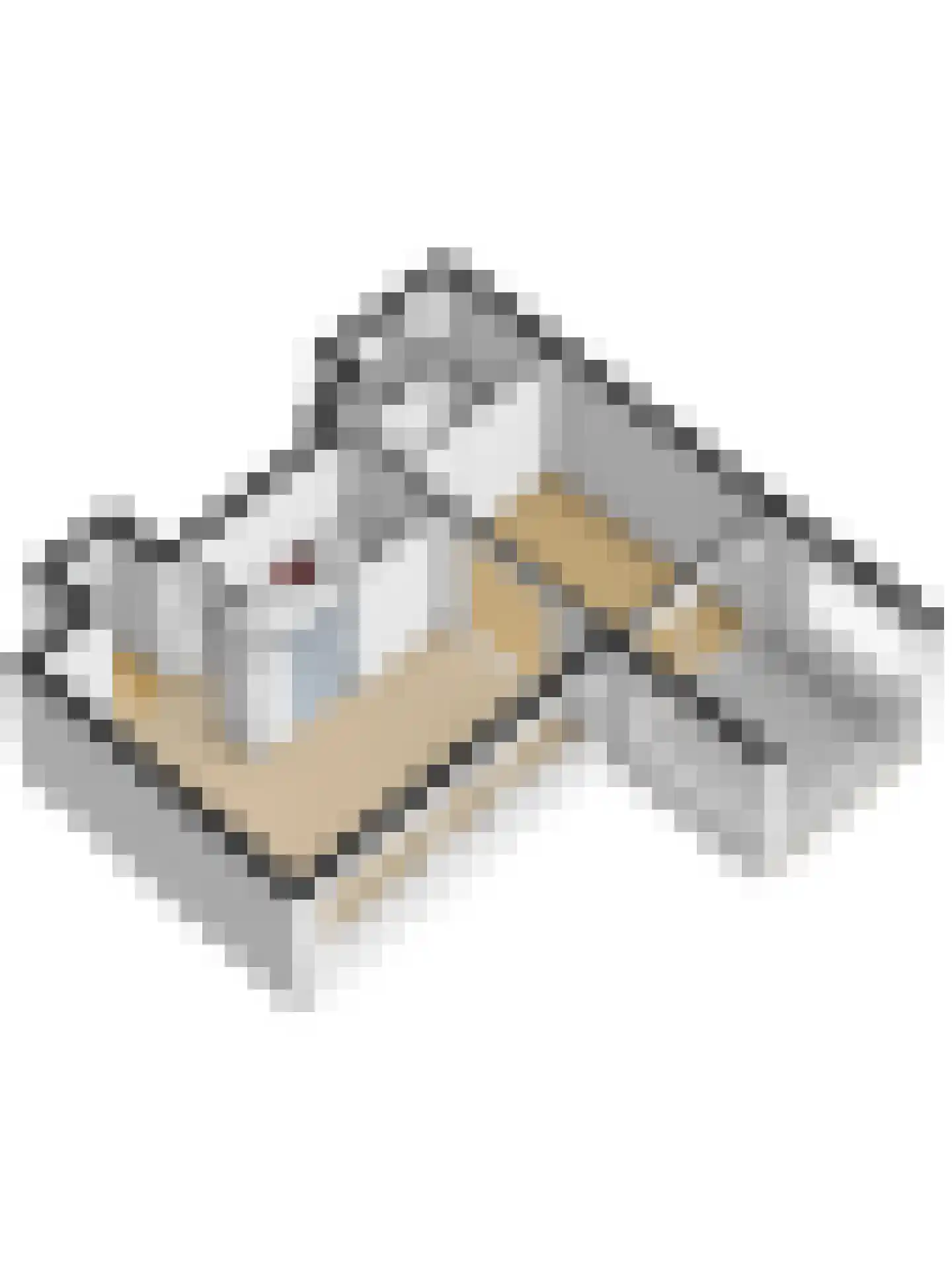 De Zalmen 71 Doorwerth thumbnail 27