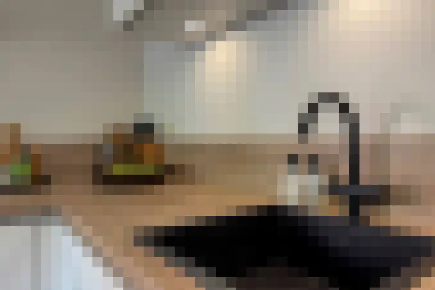 De Zalmen 74 Doorwerth thumbnail 12