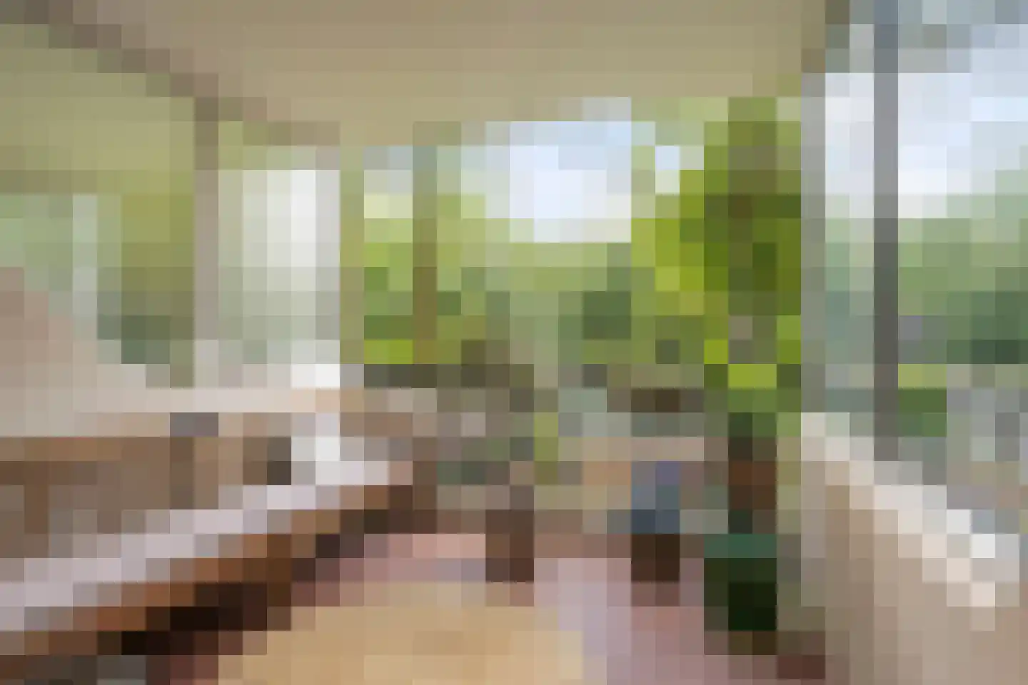 De Zalmen 74 Doorwerth thumbnail 14