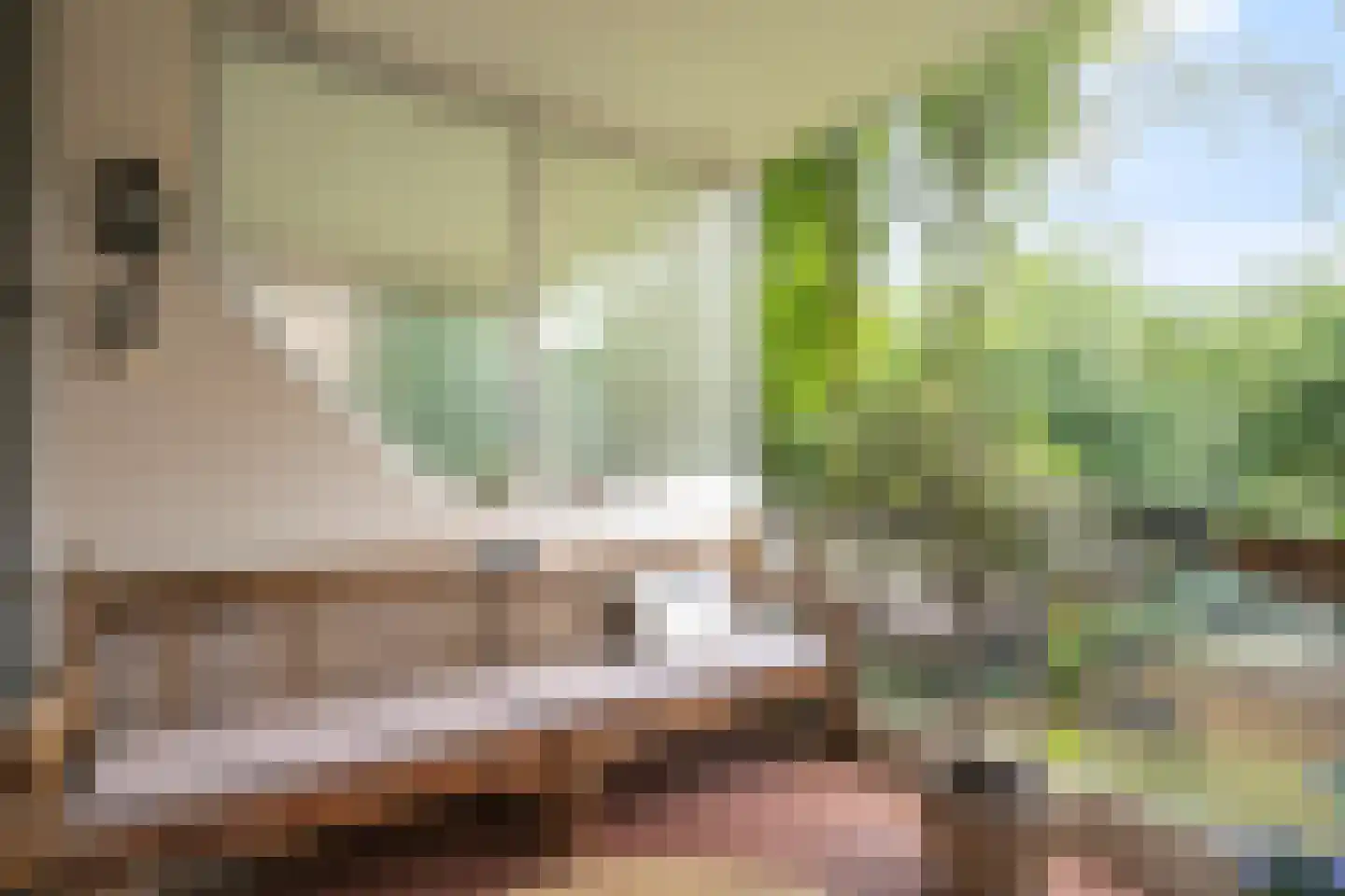 De Zalmen 74 Doorwerth thumbnail 15