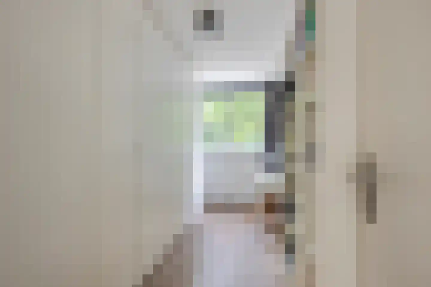 De Zalmen 74 Doorwerth thumbnail 19