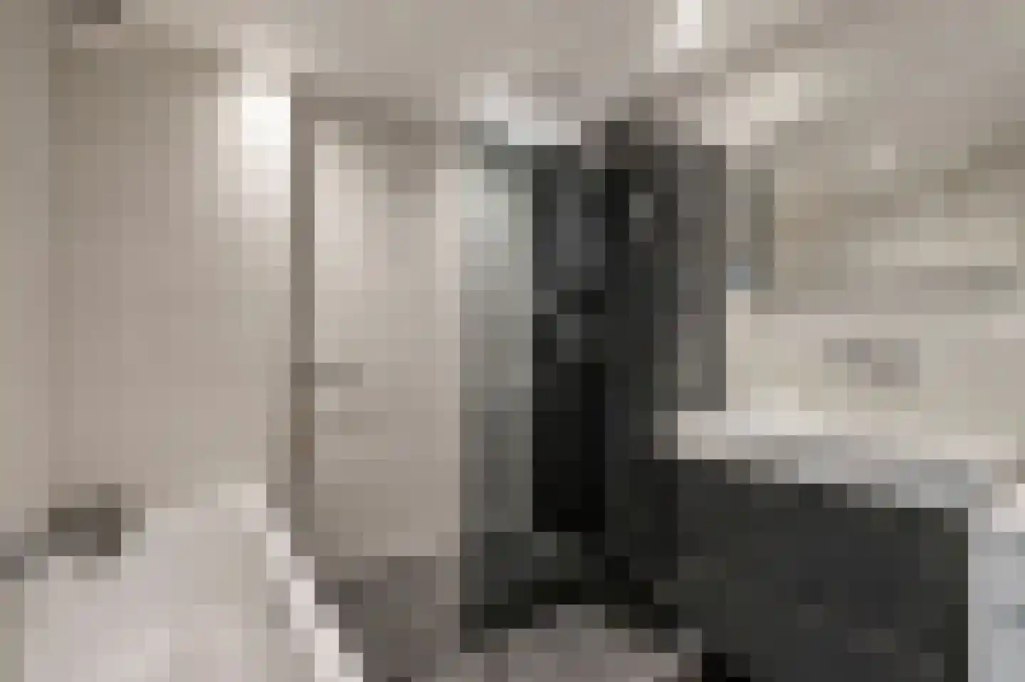 De Zalmen 74 Doorwerth thumbnail 21