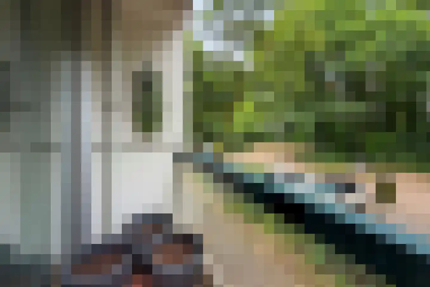 De Zalmen 74 Doorwerth thumbnail 25