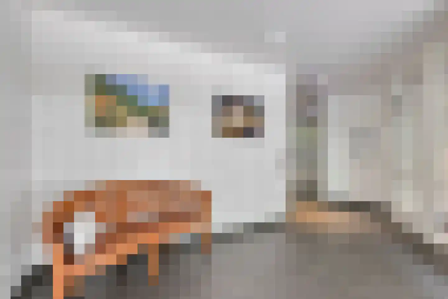 De Zalmen 74 Doorwerth thumbnail 29