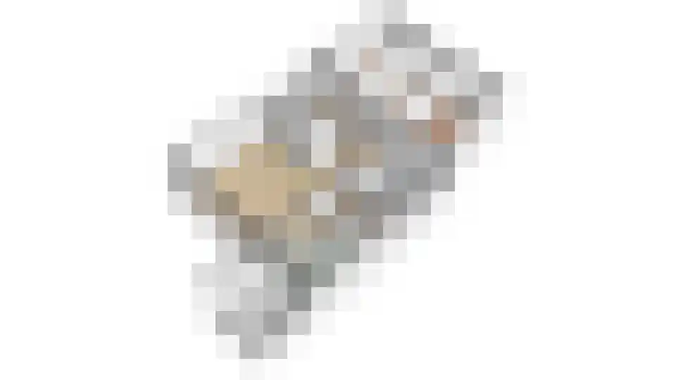 De Zalmen 74 Doorwerth thumbnail 35