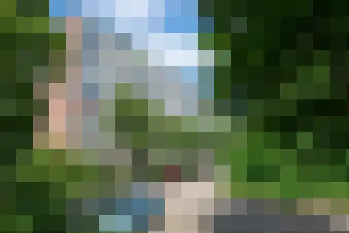 De Zalmen 97 dans Doorwerth