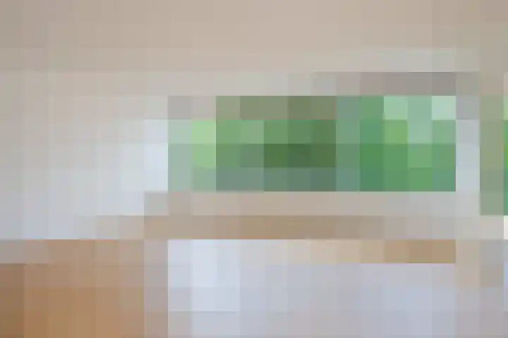 De Zalmen 97 Doorwerth thumbnail 12