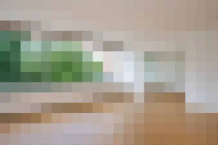 De Zalmen 97 Doorwerth thumbnail 13