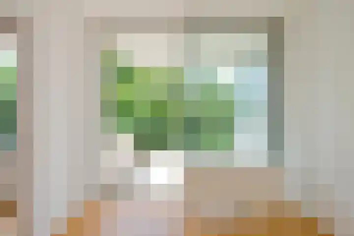 De Zalmen 97 Doorwerth thumbnail 18