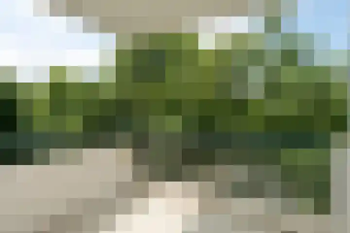 De Zalmen 97 Doorwerth thumbnail 19