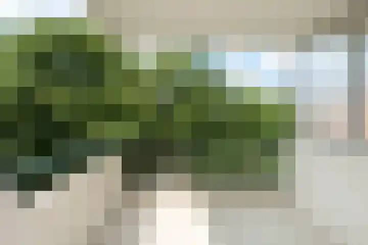 De Zalmen 97 Doorwerth thumbnail 20