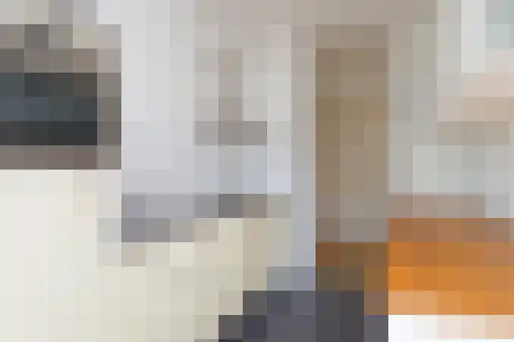 De Zalmen 97 Doorwerth thumbnail 25